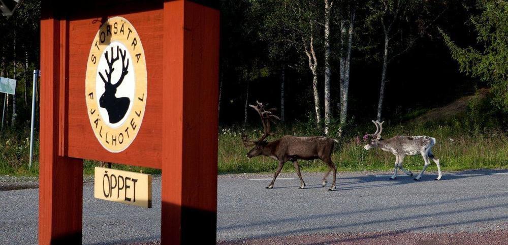 Storsaetra Fjaellhotell Grövelsjön Esterno foto